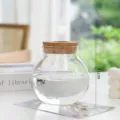 Transparante hydrocultuur vaas van borosilicaatglas met kurkdeksel voor thuisplanten. - Rond