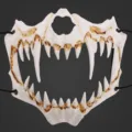 Masque de demi-visage effrayant de crâne de monstre pour cosplay anime et fête Halloween. - Style Tigre (HDB21049)