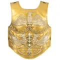 Armadura de caballero romano medieval dorada accesorio de disfraz cosplay para fiesta - Talla única / Armadura Vikinga Dorada (ZGB25883B)