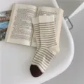 Calcetines de tubo medio a rayas para mujer punta marrón algodón casual otoño - Rayas finas color caqui