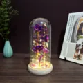 LED glass dome rose eternal flower night light romantic gift for girlfriend women room decor - Glass Dome with USB / Colorful Purple