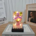 Detailed view of artificial rose flower bouquet in clear acrylic box with warm LED fairy lights. - Purple