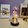 LED glass rose dome light with couple figurine romantic gift for Valentine Birthday. - Acrylic Cover Warm Light / Colorful Purple