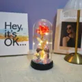 Eternal rose glass dome LED light gift for women, romantic Valentine's Day present and decor. - Acrylic Cover Warm Light / Multi-red