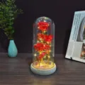 LED glass rose dome light with gold foil eternal flowers, romantic gift for girlfriend. - Glass Dome with USB / Iridescent