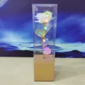 Galaxy gold foil rose flower LED light gift box in transparent box for romantic occasions. - Iridescent Transparent with Heart-Shaped Light