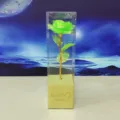 Rosa artificiale verde in foglia in confezione regalo trasparente, vista di dettaglio romantica. - Verde brillante