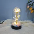 Galaxy gold foil rose glass dome night light romantic gift for Valentine Day and Xmas. - Multi-Color Gold
