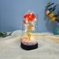 Galaxy gold foil rose flower LED night light in glass dome for romantic gift decor bedroom - Multi-red
