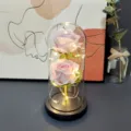 LED preserved rose glass dome light, romantic home decor gift for valentine and birthday. - Glitter