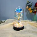 Galaxy Rose LED Night Light in Glass Dome, Romantic Gift for Valentine's Day and Christmas. - Royal Blue