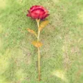 Single gold foil artificial rose flower gift for Valentine's Day Mother's Day Christmas - Red