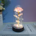Gold foil galaxy rose LED night light in glass dome romantic gift for Valentine Day Christmas - Acrylic Cover + Hand-Holding Card Sticker / Glitter Foam Powder