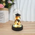 Graduation teddy bear inside an illuminated glass dome with warm fairy lights and diploma. - Bear Graduate Style / Acrylic Dome