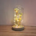 Enchanted golden foil rose glass dome night light with fairy string lights for romantic gifts. - Yellow AB