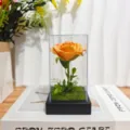 Preserved rose glass cover LED night light Valentine gift for girlfriend home room decor. - Acrylic Dome / Orange