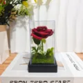 Preserved rose in glass cover with LED light romantic gift for Valentine day decoration home - Acrylic Dome / Burgundy