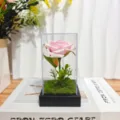 Pink artificial rose in clear display box with base, romantic gift and decor item. - Acrylic Dome / Pink