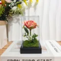 Preserved Rose Glass Dome LED Light Pink Flower Romantic Gift Room Decor Variant Item - Acrylic Dome / Flesh Pink