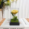 Preserved yellow rose in clear glass dome with black base romantic gift home decor lamp - Acrylic Dome / Yellow