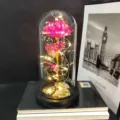 Valentine gold foil rose glass dome lamp LED fairy lights romantic gift home decor ornament - Warm Lights (Rose Gold, Pink 3-Leaf)