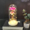 LED gold foil rose glass dome light romantic Valentine's Day gift home decor table lamp - Warm Light (Wood, Color Gold Pink)