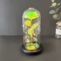 Galaxy gold foil rose glass dome LED string light romantic gift for Valentine's Day party decor - Warm Light (Colored Gold, Emerald Green 3-Leaf)