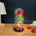 LED glass dome rose eternal flower romantic Valentine's Day gift home decor night light item - Glass Cover Warm Light / Red