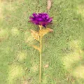 Single artificial gold foil purple rose flower for romantic gifts and holiday decoration - Purple