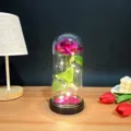 Detailed view of LED rose glass dome lamp with warm fairy string lights and wood base. - Glass Cover Warm Light / Purple