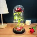 Detailed view of preserved rose glass dome lamp with LED fairy lights, perfect romantic gift. - Glass Cover Warm Light / Burgundy