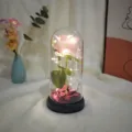 Rose LED Dome Acrylique Rose Flanelle Veilleuse Cadeau de Saint Valentin Deco - Rose