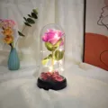 LED rose glass dome gift eternal flower light acrylic cover romantic valentine decor table lamp - Deep Pink