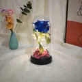 Moyenne dôme en verre LED rose bleue cadeau romantique décoration de Saint-Valentin. - Bleu