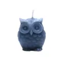 Candela Profumata Gufo Grigio Candela Cera Animale Arredo Casa Regalo Oggetto Foto - Gufo / Blu