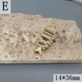 Nahaufnahme des vergoldeten Zirkonia Fischgräten Anhängers Detail Textur und feines Design. - Anhänger Ohne Kette (Stil E)