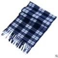 Detailed view of a blue and white plaid fleece scarf, soft texture and classic fringe design. - Blue Plaid Scarf