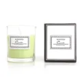 Green scented candle in a glass jar with elegant packaging box for home fragrance decor gift. - Green (Eternal Summer)
