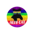 Vue detaillee de broche chat noir arc-en-ciel avec finition pailletee et texte ally cat. - Style 10