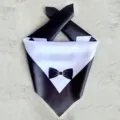 Close-up detail of a pet wedding tuxedo bandana with a black bow tie for dogs and cats. - Black Tuxedo Style