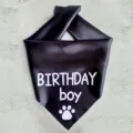Black pet birthday bandana with cute paw print and lettering for dogs and cats party. - Black - Birthday Boy Style / Black