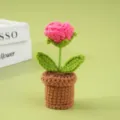 Maceta de flores rosa burbuja de ganchillo hecha a mano hilo regalo decoración escritorio. - Rojo sandía