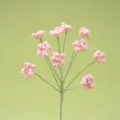 Detailed closeup of handmade pink crochet baby breath flower branch with pearl center for crafts. - Pink