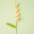 Handmade crochet yellow bell flower stem, delicate wool knit floral home decor close up view. - Yellow