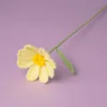 Handmade crochet flower detail, yellow daisy knit bloom with green stem for gift. - Lime Green