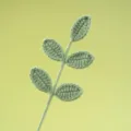 Gedetailleerd overzicht van handgemaakte groene gehaakte plantenbladeren, breigaren detail. - Bonengroen