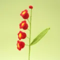 Handmade crochet lily of the valley detail shot, exquisite red and yellow yarn flower. - Red