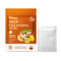 South Moon ginger deep cleansing foot pads, 10 count herbal foot care patches overnight. - 10 Pieces