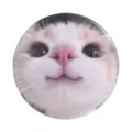 Funny cute cat face metal badge brooch pin for backpack clothes aesthetic funny accessories - Funny Big Head Cat Photo Style (MXZ476)