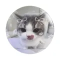 Cute cat pattern tinplate badge cartoon brooch for student schoolbag backpack decoration. - Cat Licking Nose Drizzle Style (MXZ588)